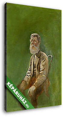 Idős férfi a széken ( tanulmány) - vászonkép 3D látványterv