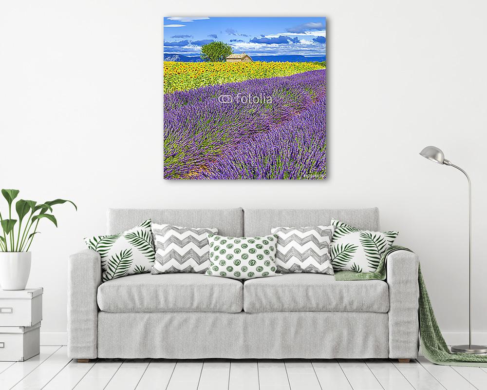 Levendula és napraforgó területén - vászonkép, falikép vásárlás Levendula és napraforgó területén (fotótapéta) - vászonkép, falikép otthonra és irodába