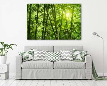 Bambusz erdő. (vászonkép) - vászonkép, falikép otthonra és irodába