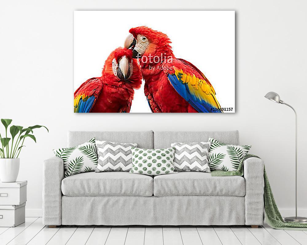Ara papagáj pár (vászonkép) - vászonkép, falikép otthonra és irodába