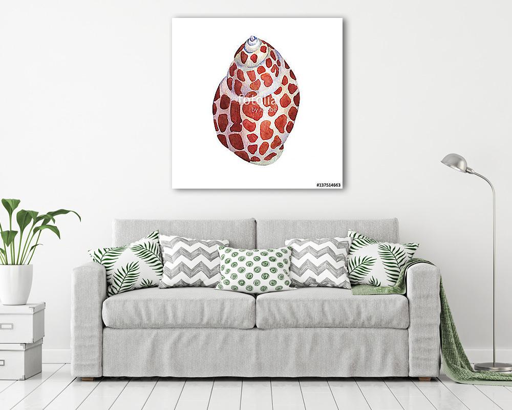 Illustrations of sea shells. Marine design. Hand drawn watercolo (keretezett kép) - vászonkép, falikép otthonra és irodába