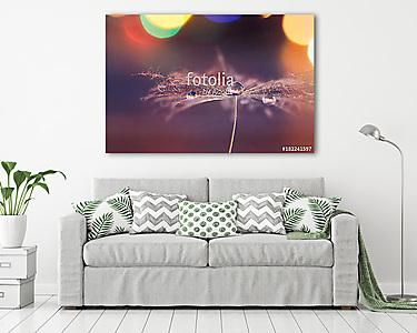 A dandelion seed with a drop of dew on a background with a color (vászonkép) - vászonkép, falikép otthonra és irodába