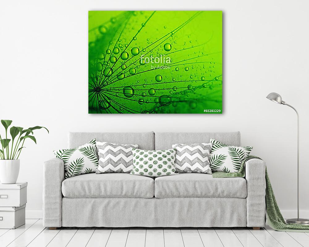 seeds with drops (poszter) - vászonkép, falikép otthonra és irodába