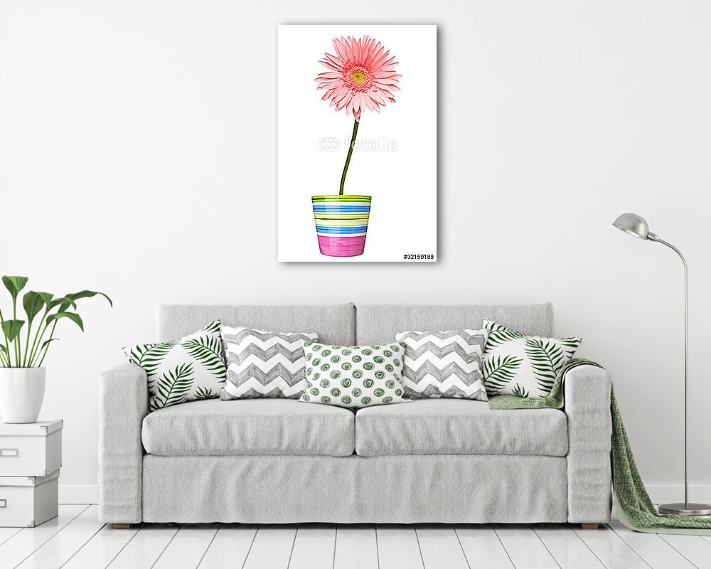 virágos természet kert botanika százszorszép virágos edény - vászonkép, falikép vásárlás virágos természet kert botanika százszorszép virágos edény (vászonkép) - vászonkép, falikép otthonra és irodába