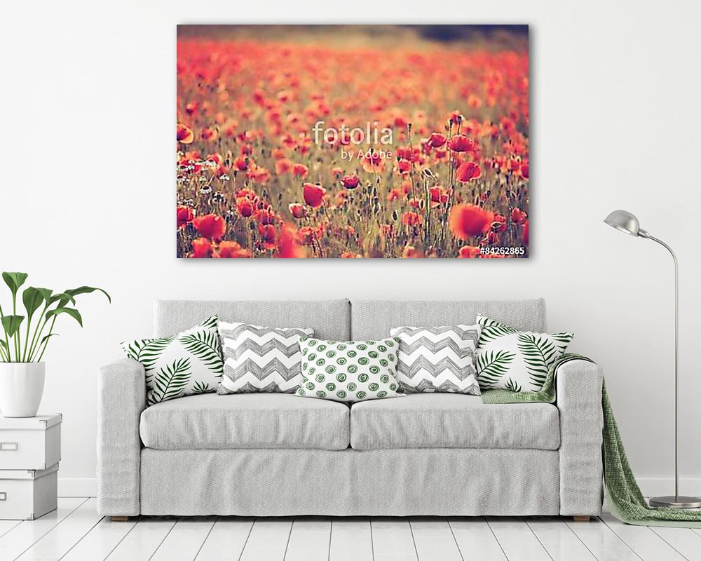 Mákmező (keretezett kép) - vászonkép, falikép otthonra és irodába