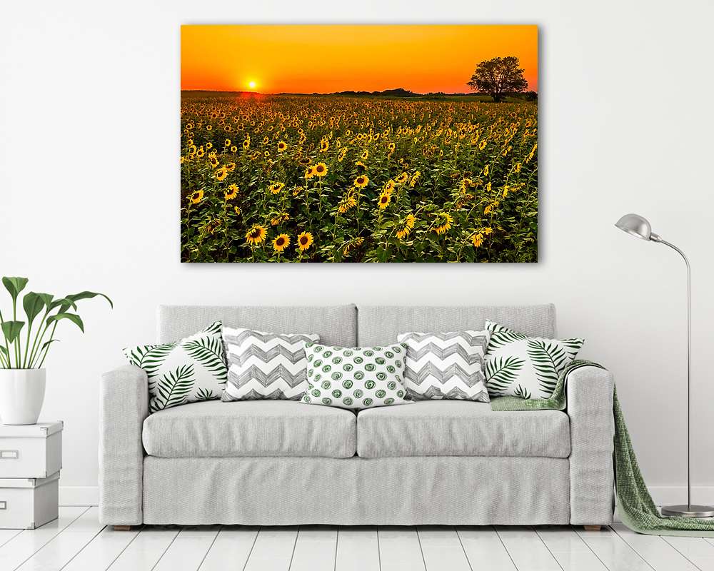 Midwest Napraforgók (vászonkép) - vászonkép, falikép otthonra és irodába