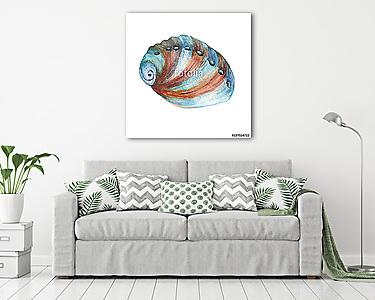 Illustrations of sea shells. Marine design. Hand drawn watercolo (vászonkép) - vászonkép, falikép otthonra és irodába