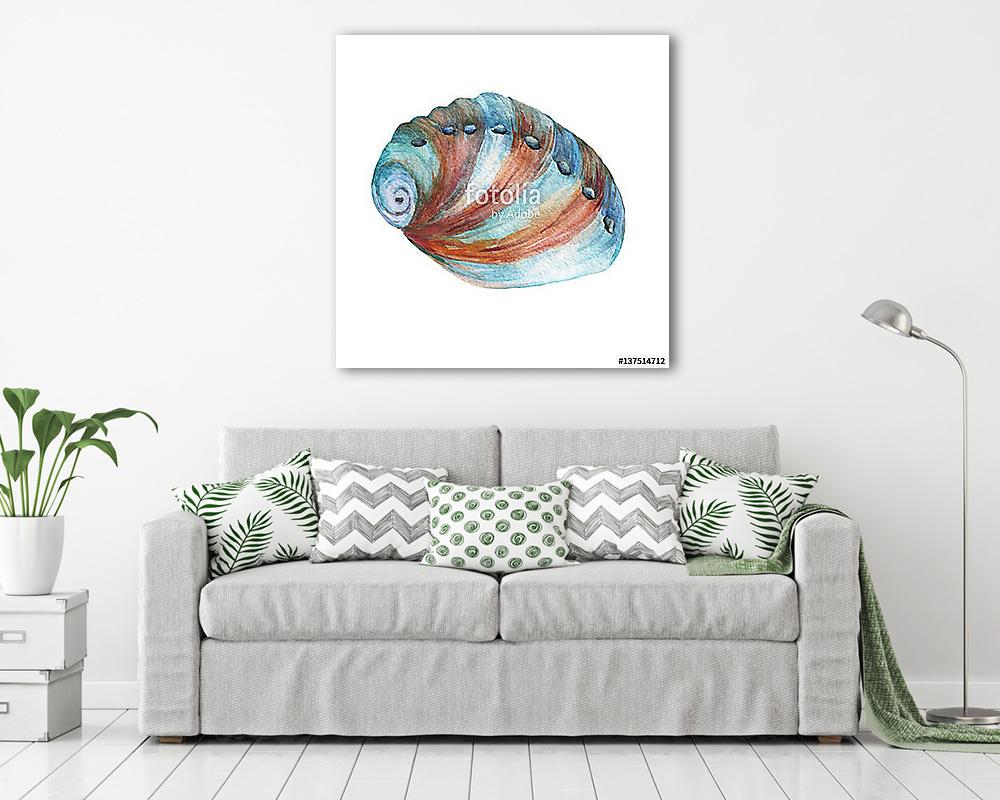Illustrations of sea shells. Marine design. Hand drawn watercolo (keretezett kép) - vászonkép, falikép otthonra és irodába