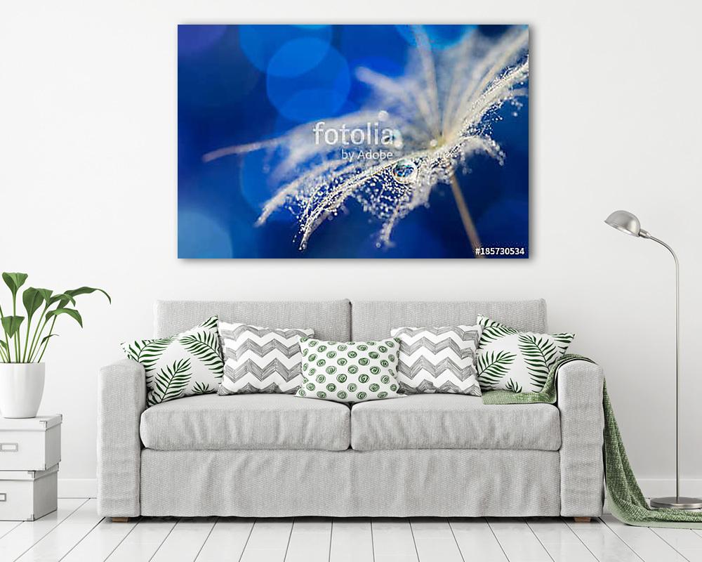 A lot of small drops and one big on a dandelion seed. Abstract m - vászonkép, falikép vásárlás A lot of small drops and one big on a dandelion seed. Abstract m (vászonkép) - vászonkép, falikép otthonra és irodába