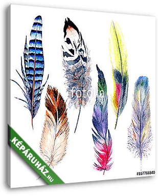 Watercolor bird feather pattern from wing. Aquarelle feather for - vászonkép 3D látványterv