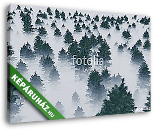 trees in the fog - vászonkép 3D látványterv