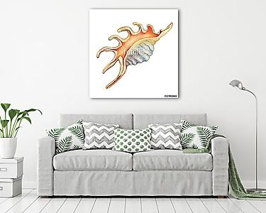 Illustrations of sea shells. Marine design. Hand drawn watercolo (vászonkép) - vászonkép, falikép otthonra és irodába