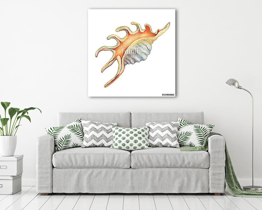 Illustrations of sea shells. Marine design. Hand drawn watercolo (vászonkép) - vászonkép, falikép otthonra és irodába
