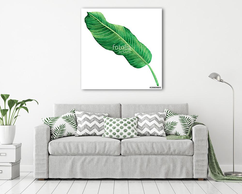 Watercolor painting green leaves,palm leaf isolated on white bac (fotótapéta) - vászonkép, falikép otthonra és irodába