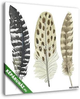 Vector bird feather from wing isolated. Aquarelle feather for ba - vászonkép 3D látványterv