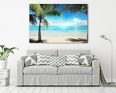 Caribbean sea and coconut pulms (vászonkép) - vászonkép, falikép otthonra és irodába
