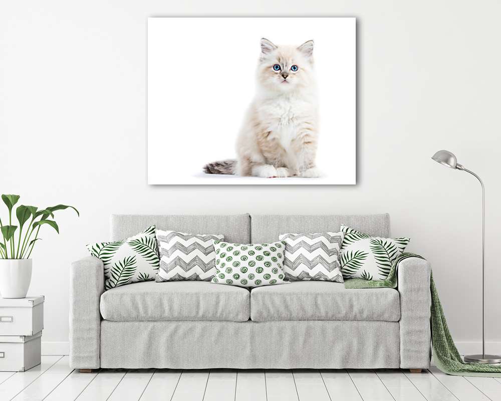 Kékszemű cicus (vászonkép) - vászonkép, falikép otthonra és irodába