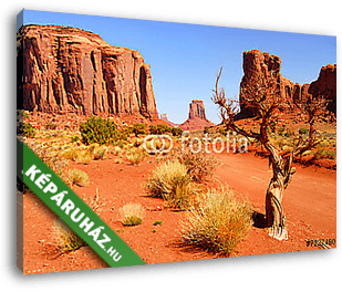 Nagy sziklaalakzatok a Navajo parkban, a Monument Valleyben - vászonkép 3D látványterv