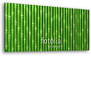 Bambuszfal - vászonkép 3D látványterv