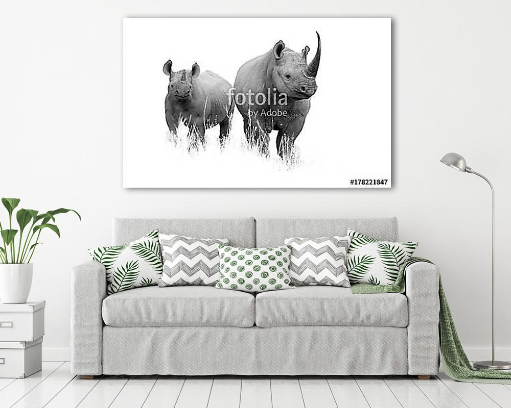 Orrszarvú pár fekete fehér (többrészes kép) - vászonkép, falikép otthonra és irodába