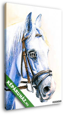 Szürke ló portré (akvarell) - vászonkép 3D látványterv