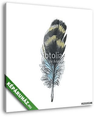 Watercolor bird feather from wing isolated. Aquarelle wild flowe - vászonkép 3D látványterv