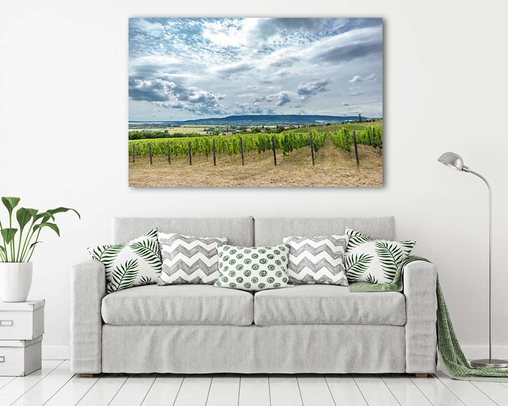 Szőlőtőkék a Balatonnál - vászonkép, falikép vásárlás Szőlőtőkék a Balatonnál (vászonkép) - vászonkép, falikép otthonra és irodába