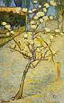 Vincent Van Gogh: Virázó kis körtefa (id: 2903) többrészes vászonkép