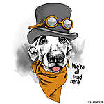 Portrait funny dog wearing steampunk top hat with glasses and cr (id: 14504) vászonkép