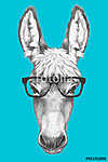 Portrait of Donkey with glasses. Hand drawn illustration. vászonkép, poszter vagy falikép