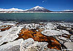 Zöld lagúna (Laguna Verde) Argentínában és Chilében vászonkép, poszter vagy falikép