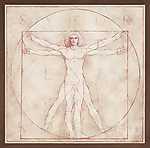 Vitruvian Man, 1490 (átdolgozás) - Fresco Version (id: 3606) vászonkép