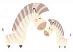 Zebra mama és kicsi zebra vászonkép, poszter vagy falikép
