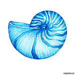 Illustrations of blue nautilus sea shell. Marine design. Hand dr vászonkép, poszter vagy falikép