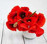 Vörös mákok vázában vászonkép, poszter vagy falikép