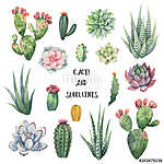 Watercolor vector set of cacti and succulent plants isolated on vászonkép, poszter vagy falikép