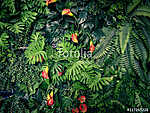 Divatos zöld dzsungel nyári háttér - egzotikus vintage t vászonkép, poszter vagy falikép