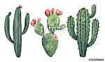 Watercolor vector set of cacti and succulent plants isolated on vászonkép, poszter vagy falikép