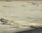 Edouard Manet: Spárga (id: 2813) falikép keretezve