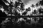Silhouettes of palm trees on the shore. Black and white vászonkép, poszter vagy falikép