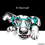 Portrait of a funny dog in glasses. Vector illustration. vászonkép, poszter vagy falikép
