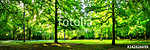 A zöld erdő táj nyári panorámaként vászonkép, poszter vagy falikép
