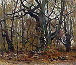 Erdő ősszel vászonkép, poszter vagy falikép