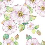 Delicate white flowers. Hand drawn watercolor floral seamless pa (id: 14118) poszter