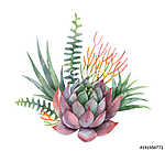 Watercolor vector bouquet of cacti and succulent plants isolated vászonkép, poszter vagy falikép