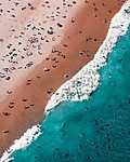 Bondi Beach, Ausztrália vászonkép, poszter vagy falikép