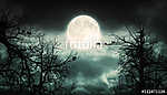 Night Forest With Moon Background. vászonkép, poszter vagy falikép