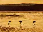 Olajfestés - flamingók a naplementében, a tengerben és a hegyekb vászonkép, poszter vagy falikép