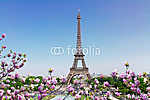 Eiffel-torony és Párizs városképe (id: 9321) vászonkép