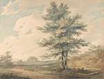 William Turner: Tájkép fával (id: 20528) többrészes vászonkép